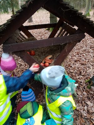PHOTO 2023 02 03 12 28 51 4
