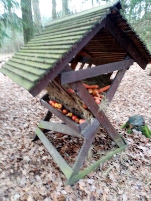 PHOTO 2023 02 03 12 28 51 6