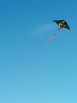 PHOTO 2023 10 02 16 49 23