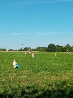 PHOTO 2023 10 02 16 49 23 3