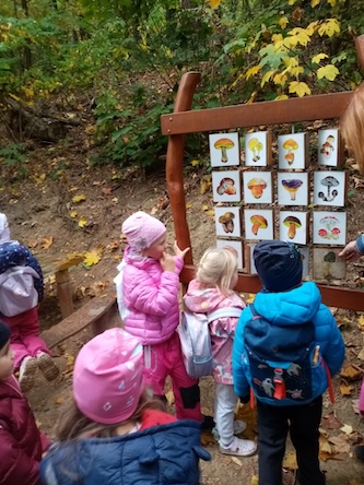 PHOTO 2023 10 25 13 55 37 3