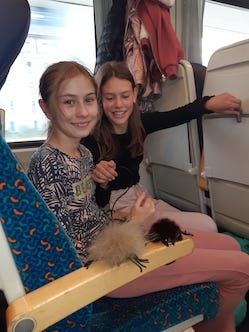 PHOTO 2023 10 20 12 04 48 4