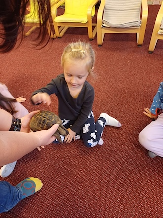 PHOTO 2024 11 12 10 44 49 2
