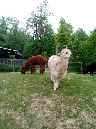 PHOTO 2025 05 30 08 14 16