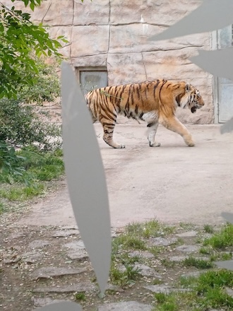 PHOTO 2025 05 30 08 14 16 2