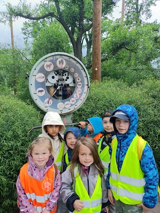PHOTO 2025 05 30 08 14 16 5