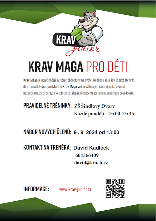 krav maga