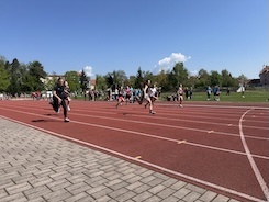 IMG 7806