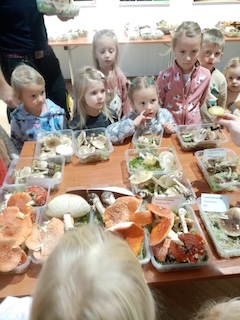 PHOTO 2025 10 22 15 33 08 3