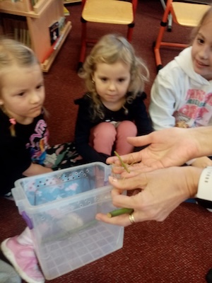 PHOTO 2026 01 22 11 46 40