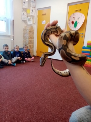 PHOTO 2026 01 22 11 46 40 2