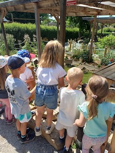 PHOTO 2026 05 29 07 28 00 4